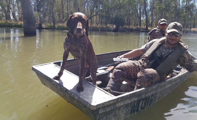 Loading  Duck hunting boat, Duck hunting blinds, Duck hunting